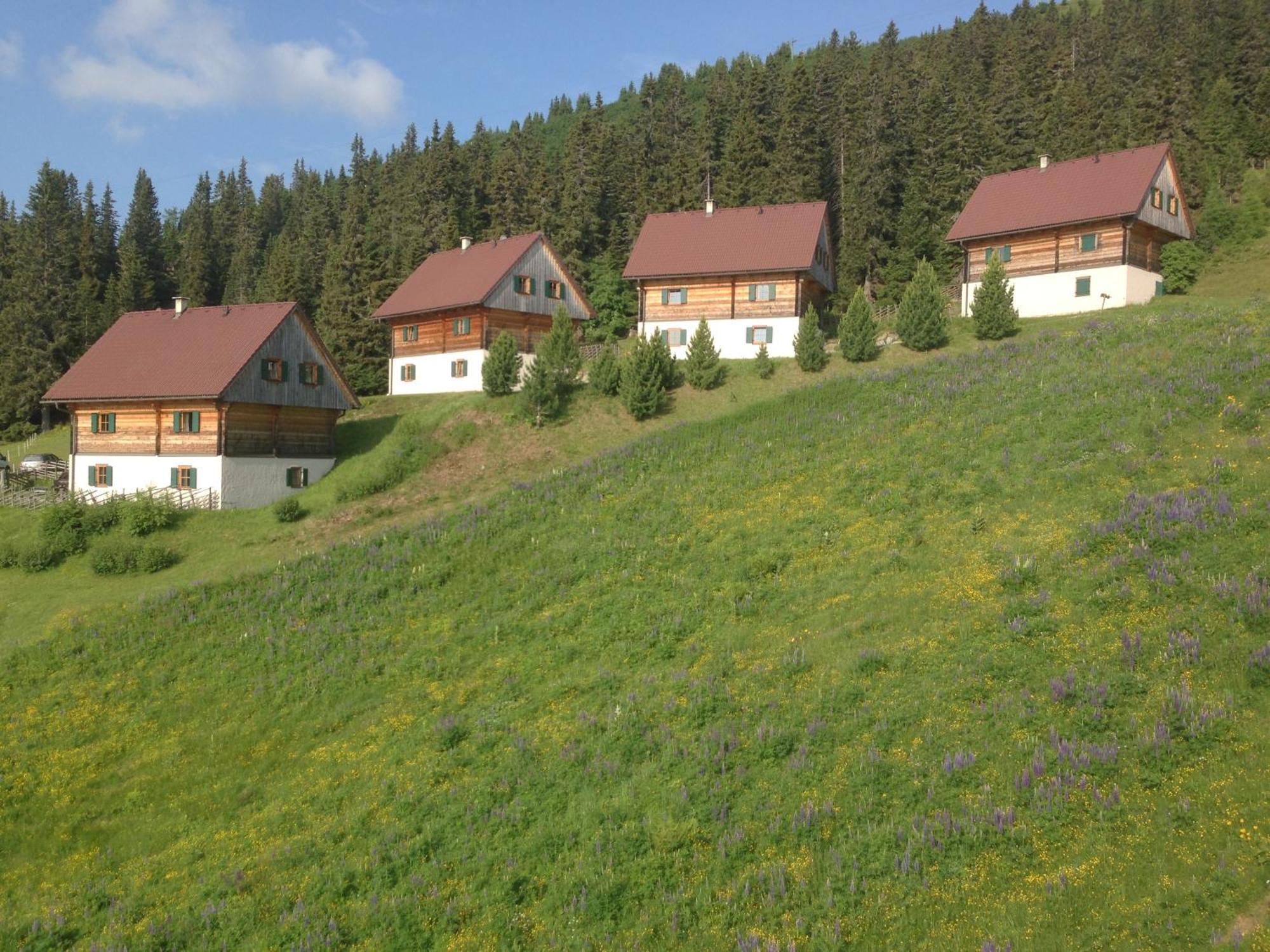 Moselebaueralm Klippitztorl Exterior foto